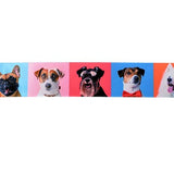 SINGLE FACE SATIN DOG PHOTO RIBBON 38MM (1.5")