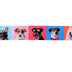 SINGLE FACE SATIN DOG PHOTO RIBBON 38MM (1.5")