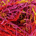 YARN - SCRUB SPLASH