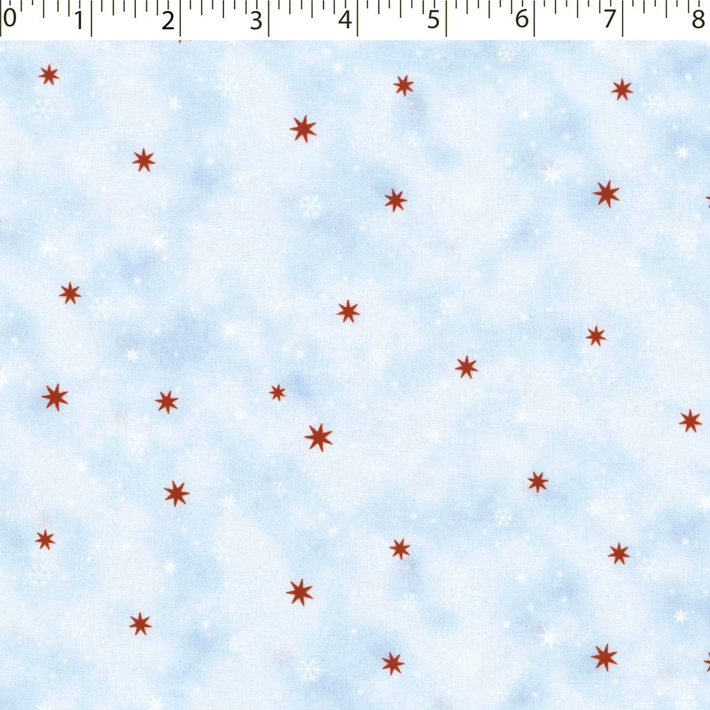 HOLIDAY MINIS - SNOW STAR