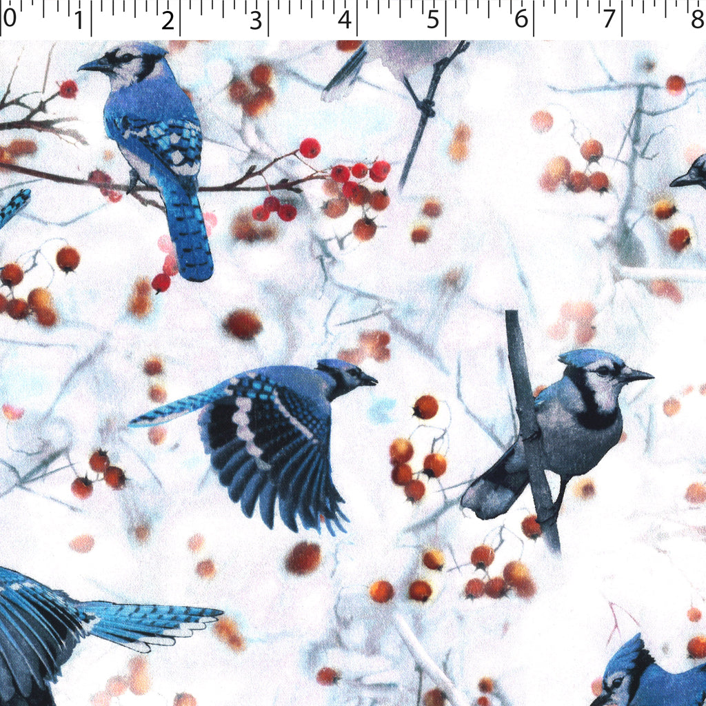 WINTER WONDERLAND - BLUEJAY BERRY