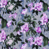 REGAL GREYS VELVET PRINTS - BOTANICAL FLORAL