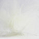 ivory nylon tulle