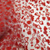 white polyester tulle  with red flocked heart 