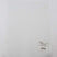 white polyester felt sheets