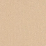 nude stretch nylon lining