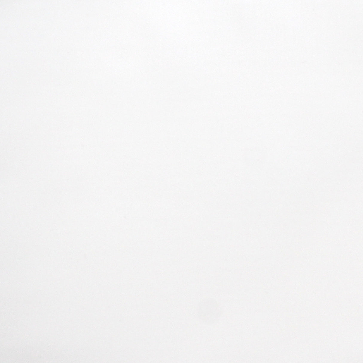 white nylon taffeta
