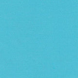 turquoise nylon taffeta