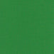 kelly green nylon taffeta