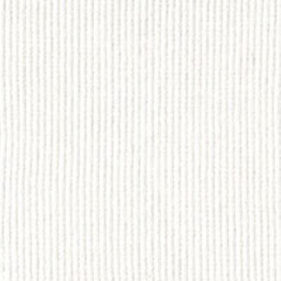 white cotton spandex 2 x 2 rib 