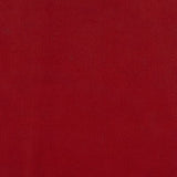 ARCTIC FLEECE SOLIDS - RED COLOUR FAMILY