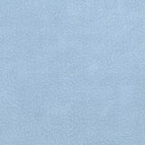 baby blue fleece solid