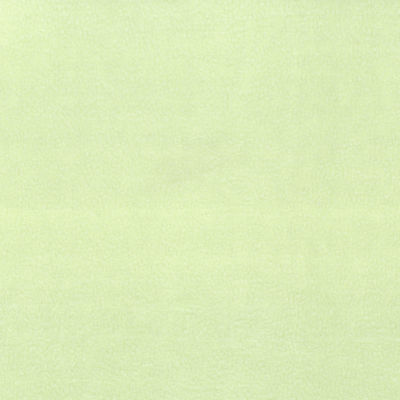 Medium weight brushed back polyester fleece in the colour of pale green