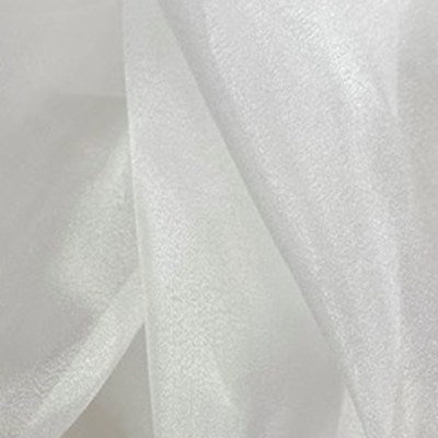 off white shiny organza