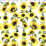 SUNNY SUNFLOWER - SUNFLOWER STRIPE