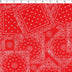 BANDANA PRINTS - SQUARE ALLOVER