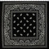 BANDANA PRINTS - 20" SQUARE