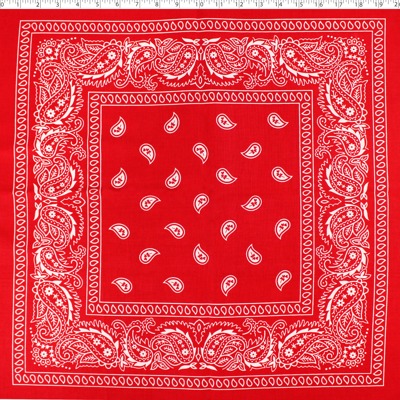 BANDANA PRINTS - 20" SQUARE