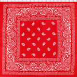 BANDANA PRINTS - 20" SQUARE