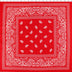 BANDANA PRINTS - 20" SQUARE