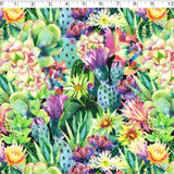 0649118 It's A Digital World - Cactus