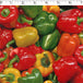 cotton fabric with red green pepper prints