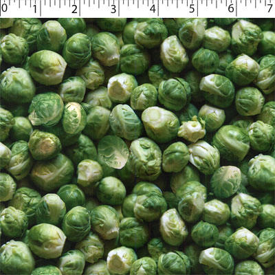 cotton fabric with brussels sprout prints