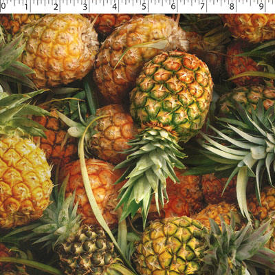 cotton fabric with pineapple prints