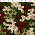 I LOVE CANADA - CANADA CAMO