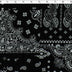 BANDANA PATCHWORK - PAISLEY LACE