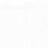 white cotton poplin shirting