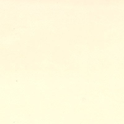 vanilla polyester velvet