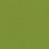 AT HOME SOLIDS - POLYESTER CANVAS