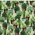 OUTDOOR PRINTS - CACTI