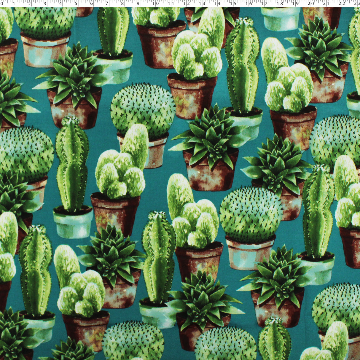 OUTDOOR PRINTS - CACTI