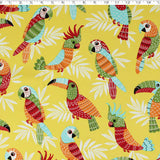 OUTDOOR PRINTS - WEIRO