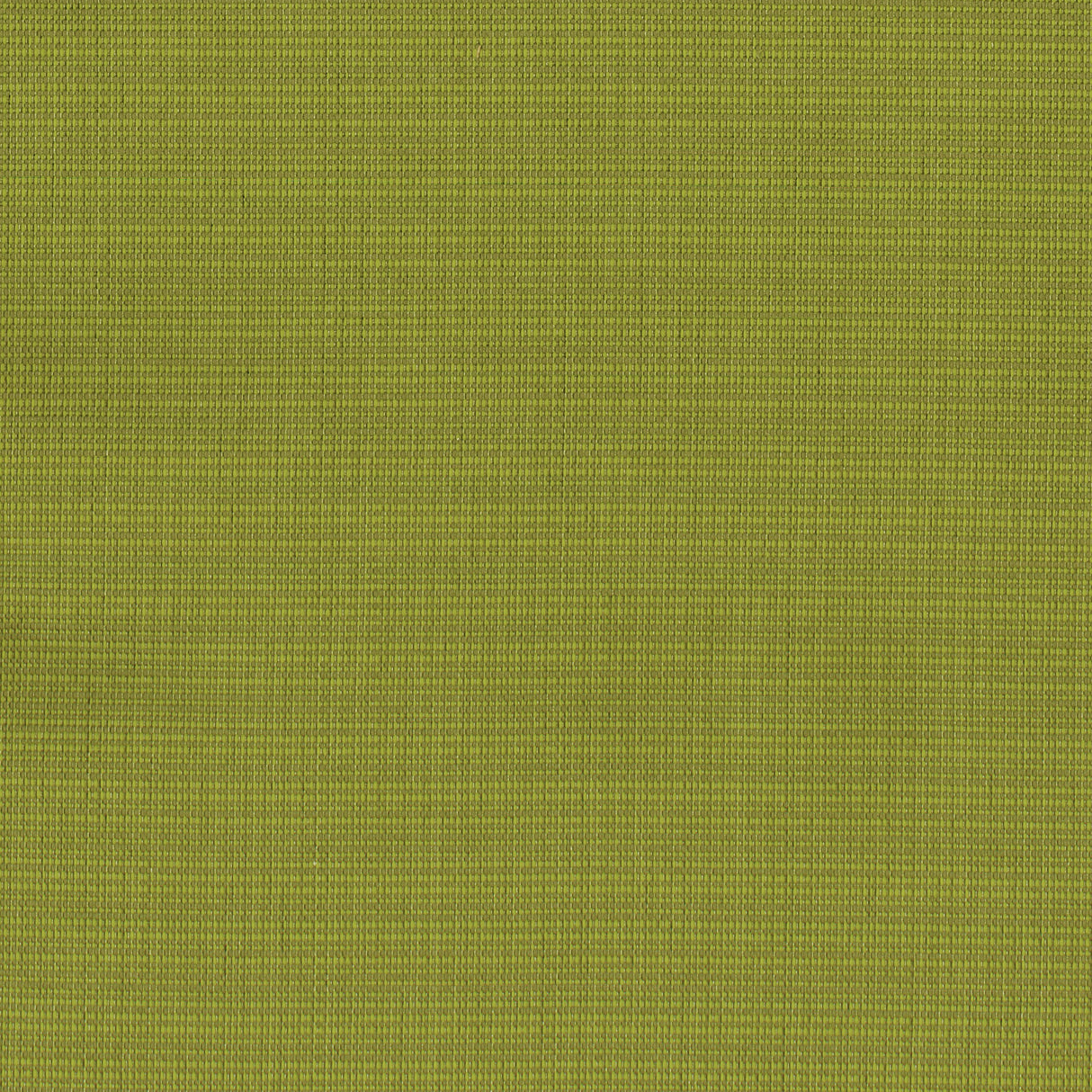 OUTDOOR TEXTURE - LA PLAYA
