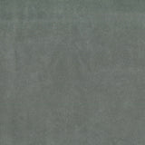 SABLE SUEDE
