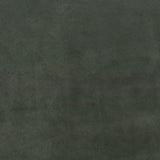 SABLE SUEDE