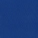 dazzling blue athletic mesh