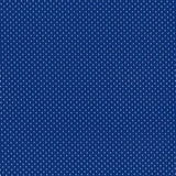 dazzling blue athletic mesh