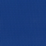 dazzling blue athletic mesh