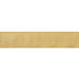 25MM ORGANZA RIBBON
