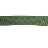 BELTING POLYESTER 2.5CM