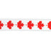 MAPLE LEAF PRINTED ELASTIC 25MM