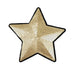 SEQUIN LARGE STAR APPLIQUE