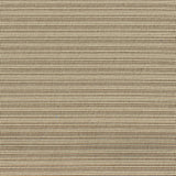 OUTDOOR TEXTURE - LA PLAYA