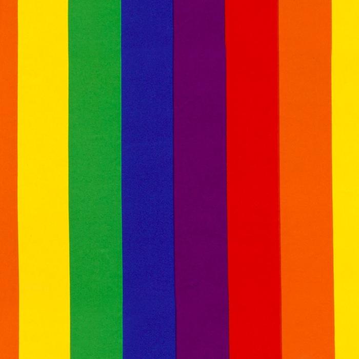 polyester 2" pride stripe